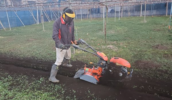 年頭のご挨拶を申し上げます。