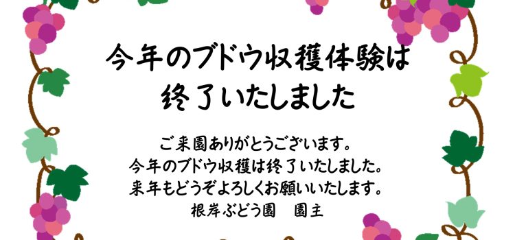 今年のブドウ収穫体験を終了いたします！