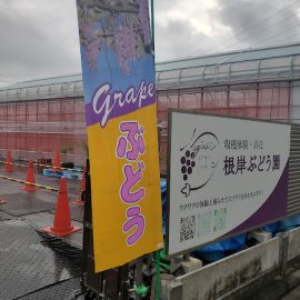 明日9月21日（日）も開園いたします！