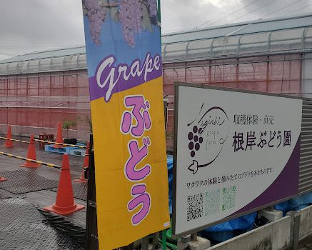 明日9月21日(日)も開園いたします! 明日9月21日(日)も開園いたします!